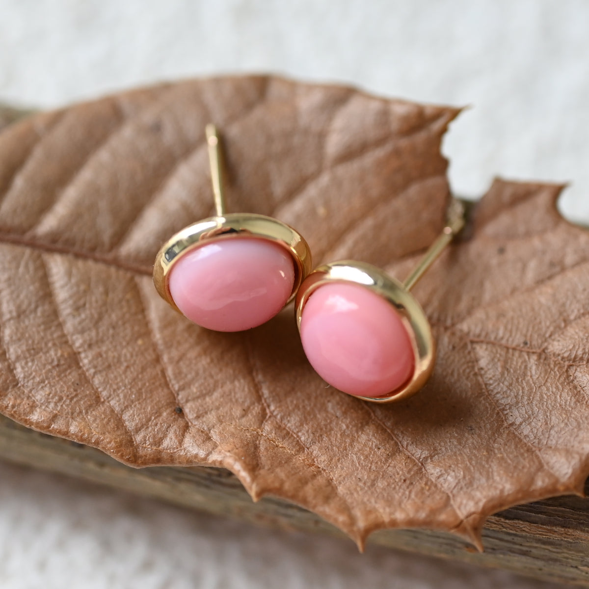 Nature queen conch 8 mm round earring stud ,pink shell earring